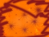 cacehyjkhfyffuyuyr75e4esfcgu657tgg76y76t7tbbmnbmguyt676