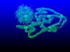 germ