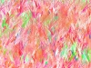 grass